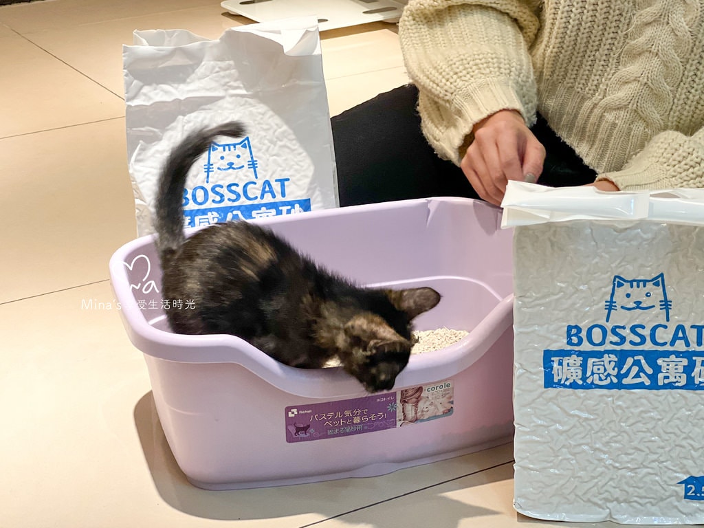 簽名檔-boss cat-04.jpg