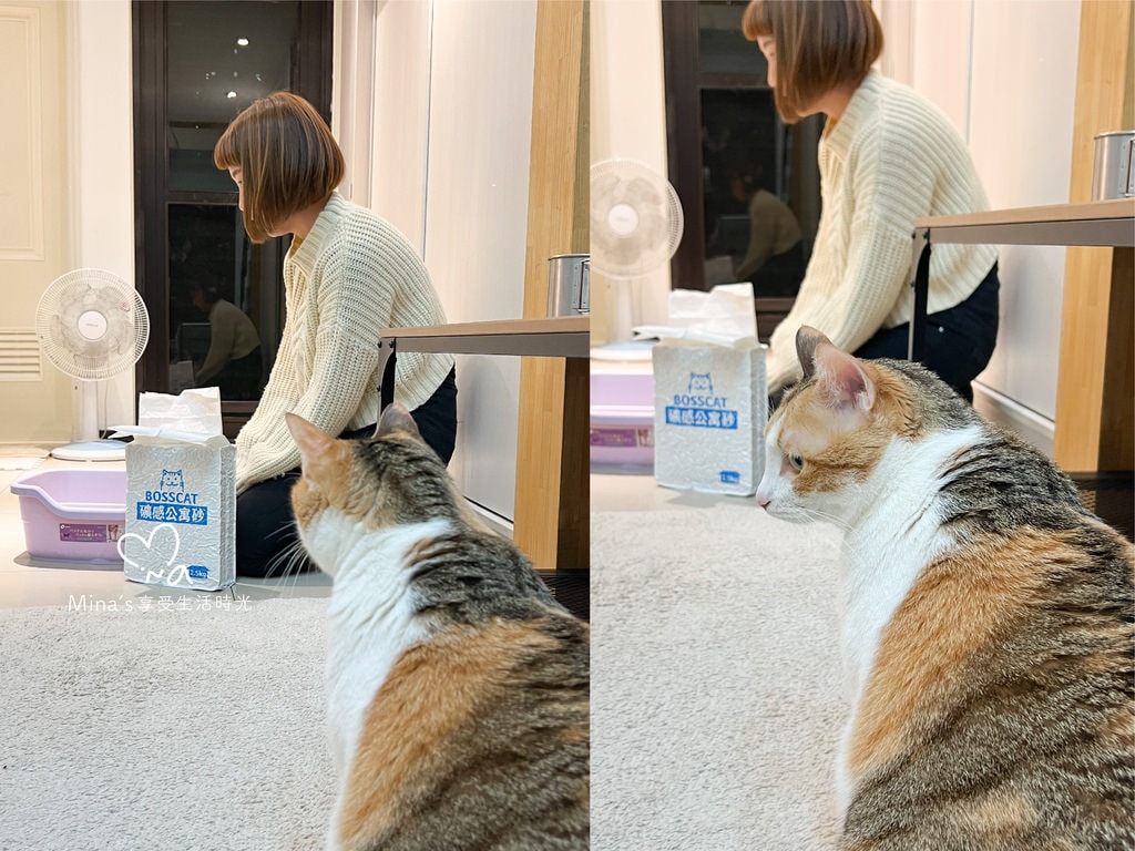 簽名檔-boss cat-06.jpg