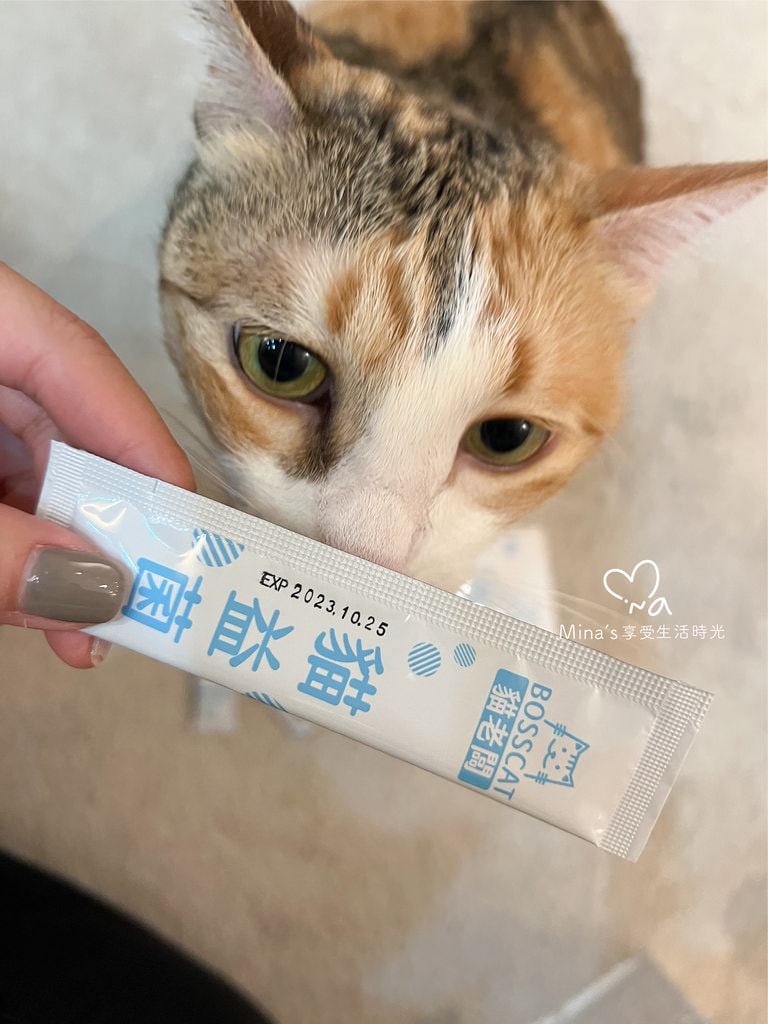 簽名檔-boss cat-07.jpg