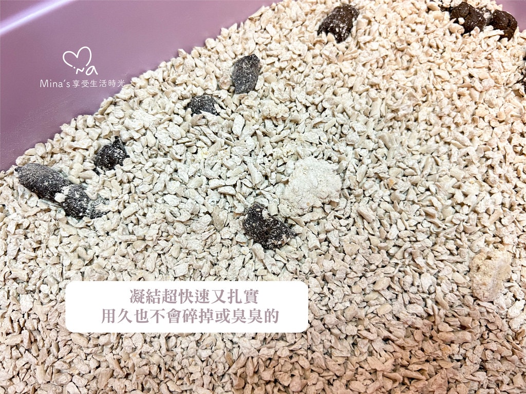簽名檔-boss cat-14.jpg