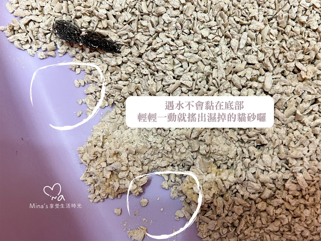 簽名檔-boss cat-18.jpg