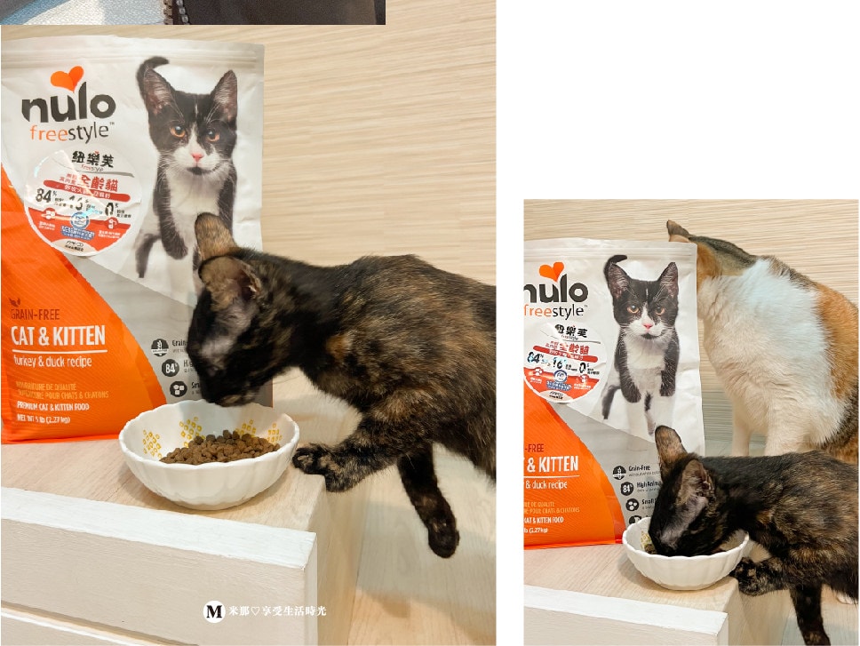 紐樂芙_寵物飼料_貓飼料推薦_飼料推薦_貓乾糧推薦_健康飼料＿貓-01.jpg