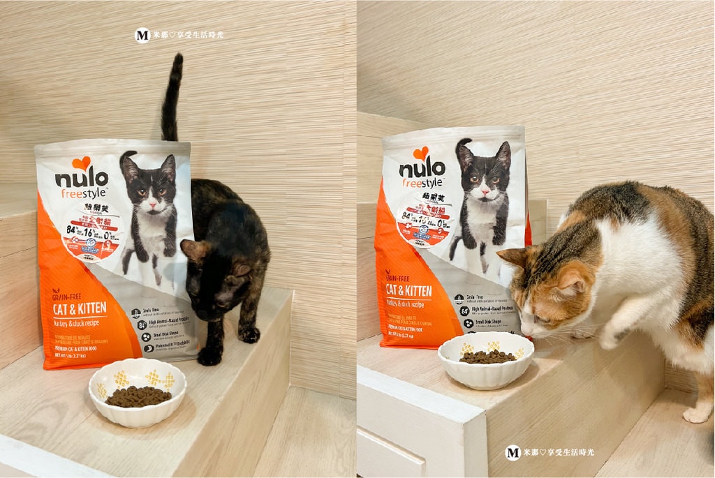 紐樂芙_寵物飼料_貓飼料推薦_飼料推薦_貓乾糧推薦_健康飼料＿貓-05.jpg