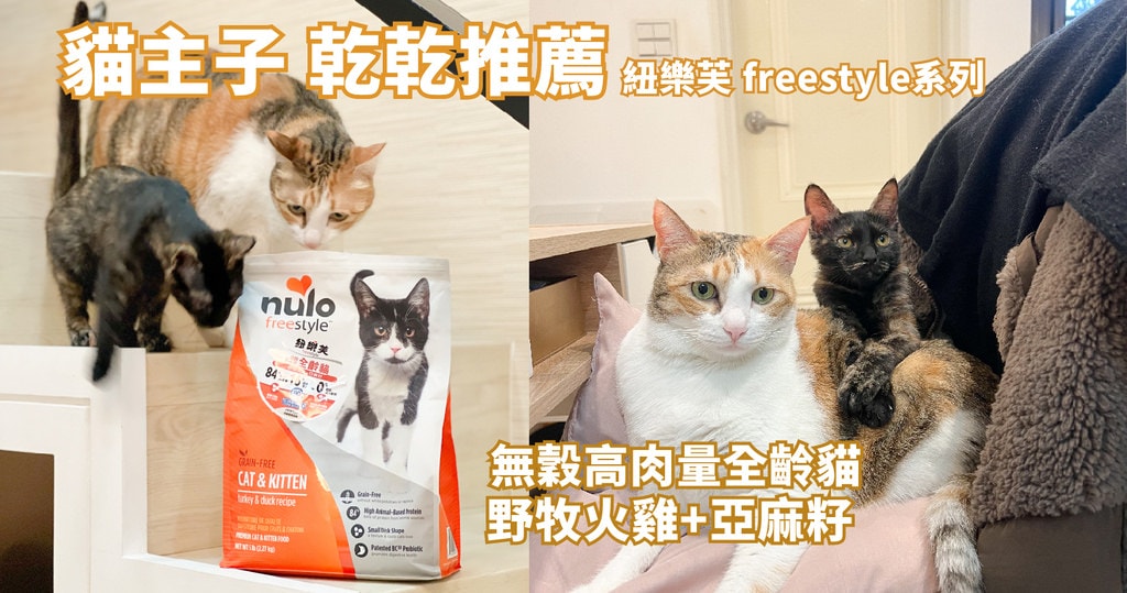 紐樂芙_寵物飼料_貓飼料推薦_飼料推薦_貓乾糧推薦_健康飼料＿貓-09.jpg