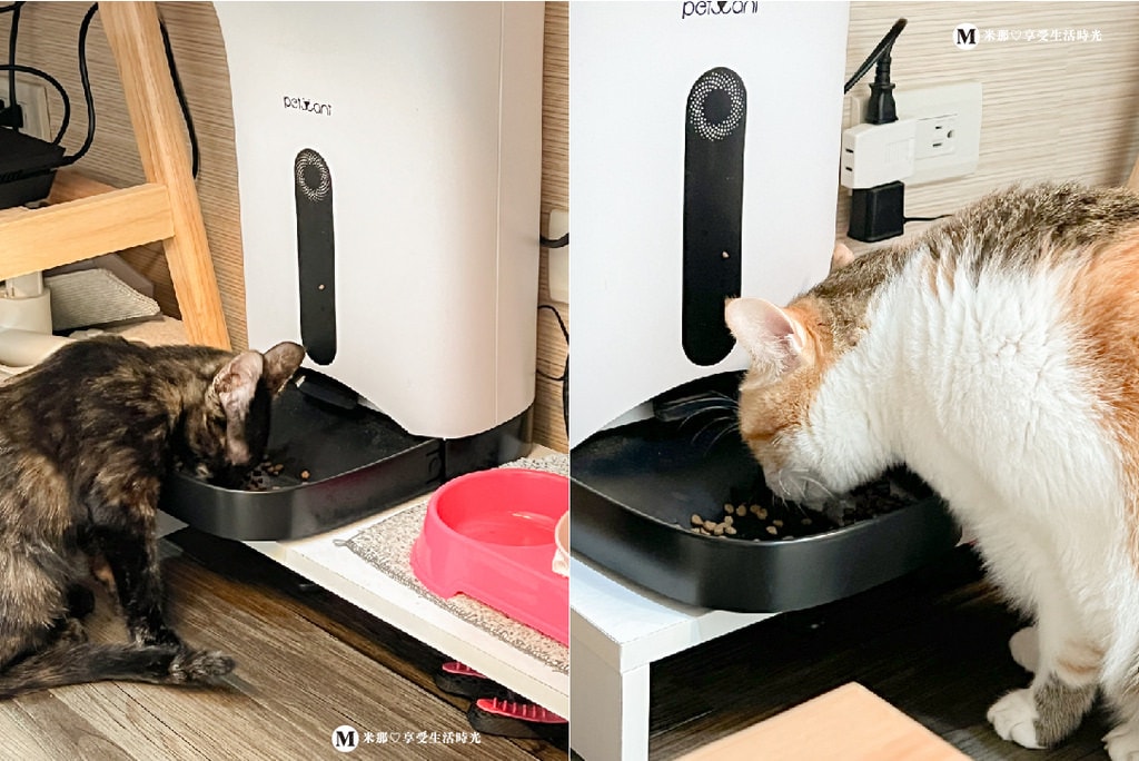 紐樂芙_寵物飼料_貓飼料推薦_飼料推薦_貓乾糧推薦_健康飼料＿貓-11.jpg