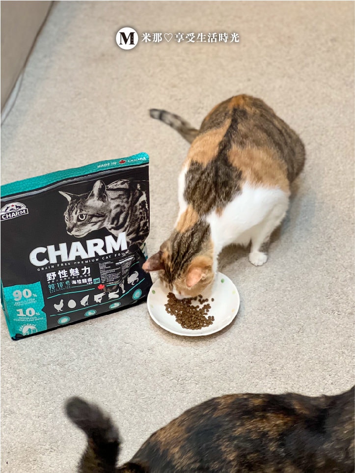 野性魅力_貓咪飼料＿凍乾零食_貓乾糧推薦_推薦16.jpg