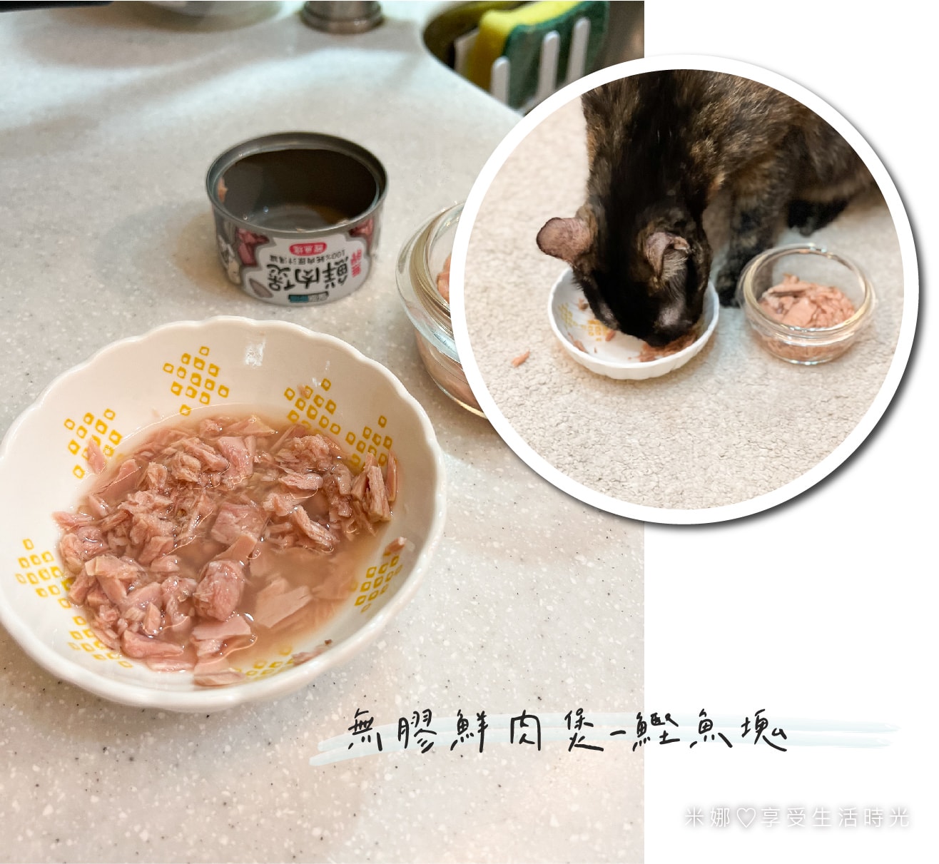 怪獸部落＿無膠鮮肉煲-鰹魚塊