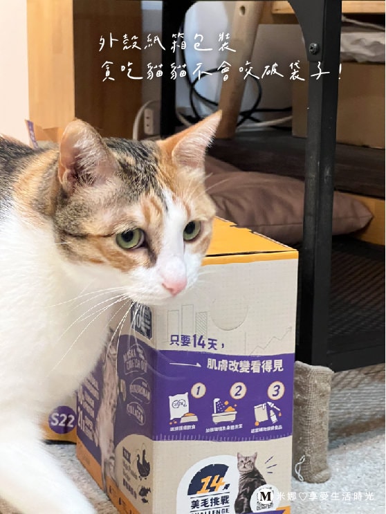 挑嘴貓飼料推薦