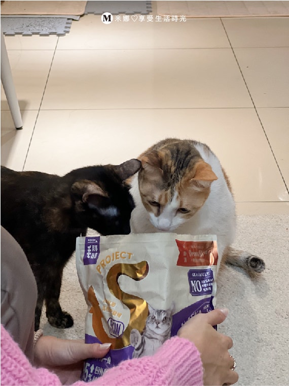 無穀貓飼料推薦＿無穀飼料_減肥飼料