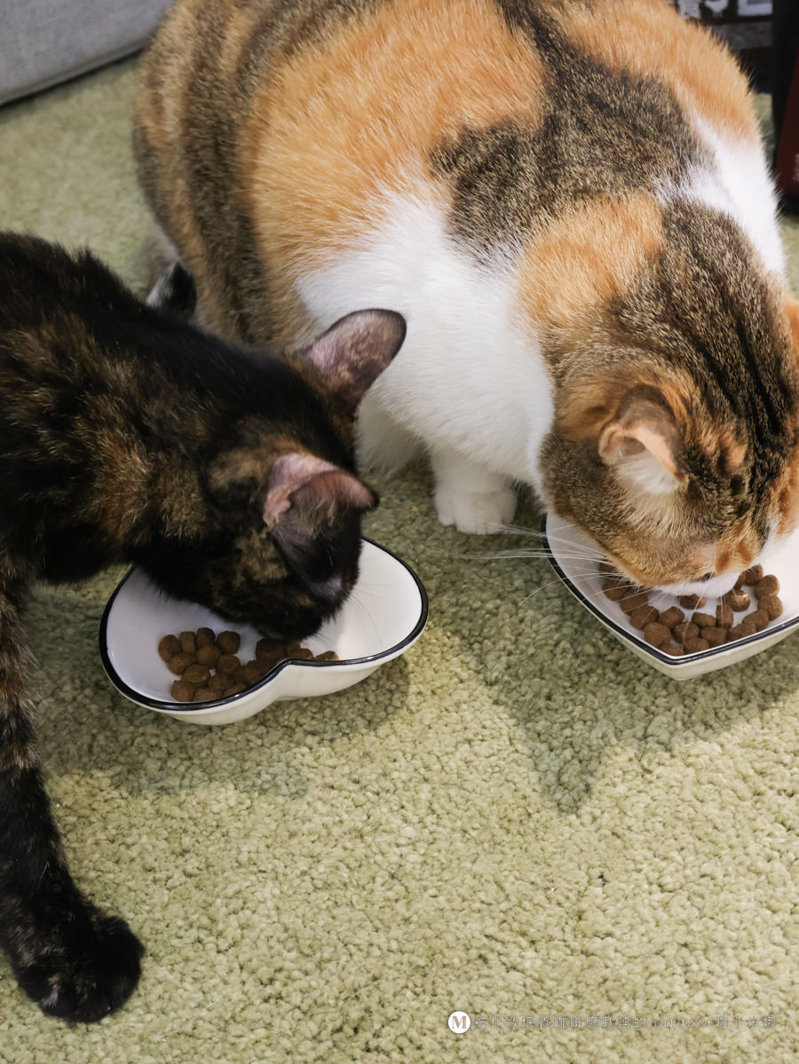 法麗真⾁配⽅全營養貓糧 貓咪乾糧推薦32