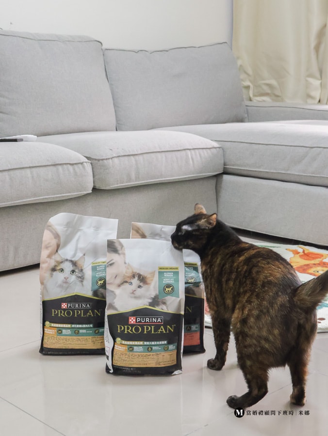 冠能貓飼料三個月實測心得分享